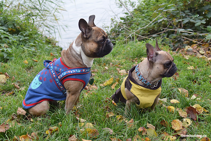 Bunter Herbst Bunter Herbst