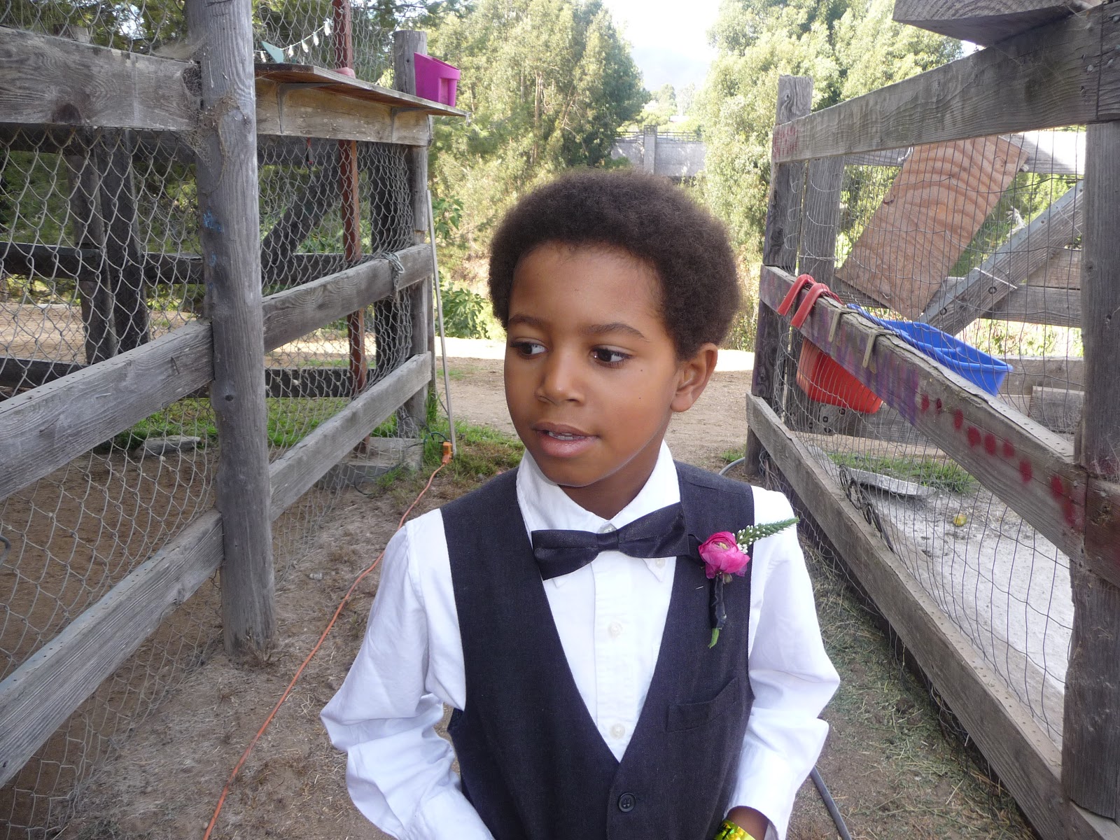 Happy Birthday, Mr. T!