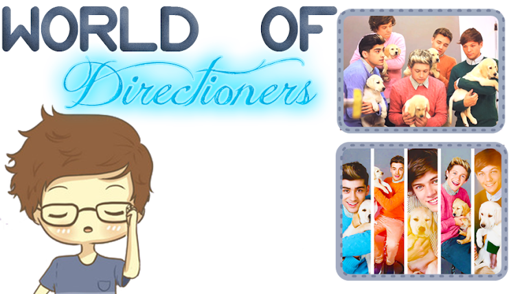 World of Directioners