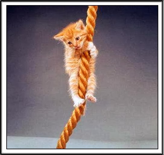 Ehil Kalem 14.Nis.2012