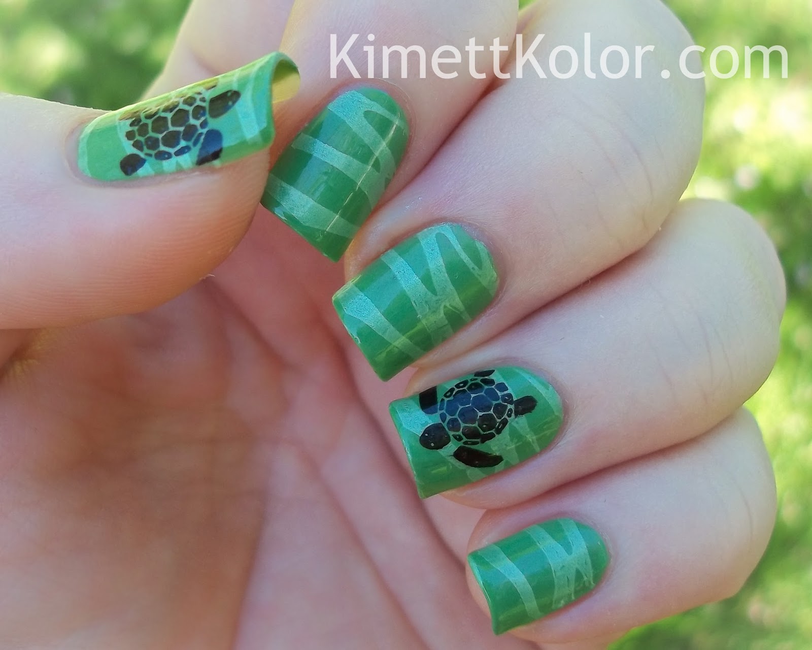 Turtles Sea Foam For World Turtle Day Kimett Kolor Turtles Sea Foam For World Turtle Day