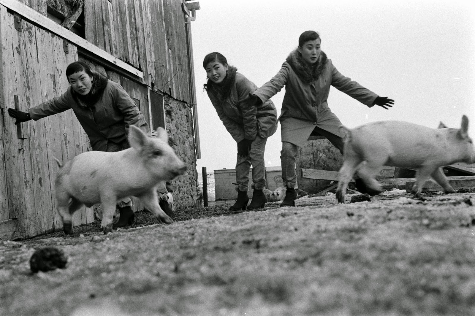 Rare Photos of The Kim Sisters in 1960 ~ vintage everyday