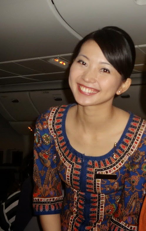 62 Best Singapore Airlines Images In 2020 Singapore Flight