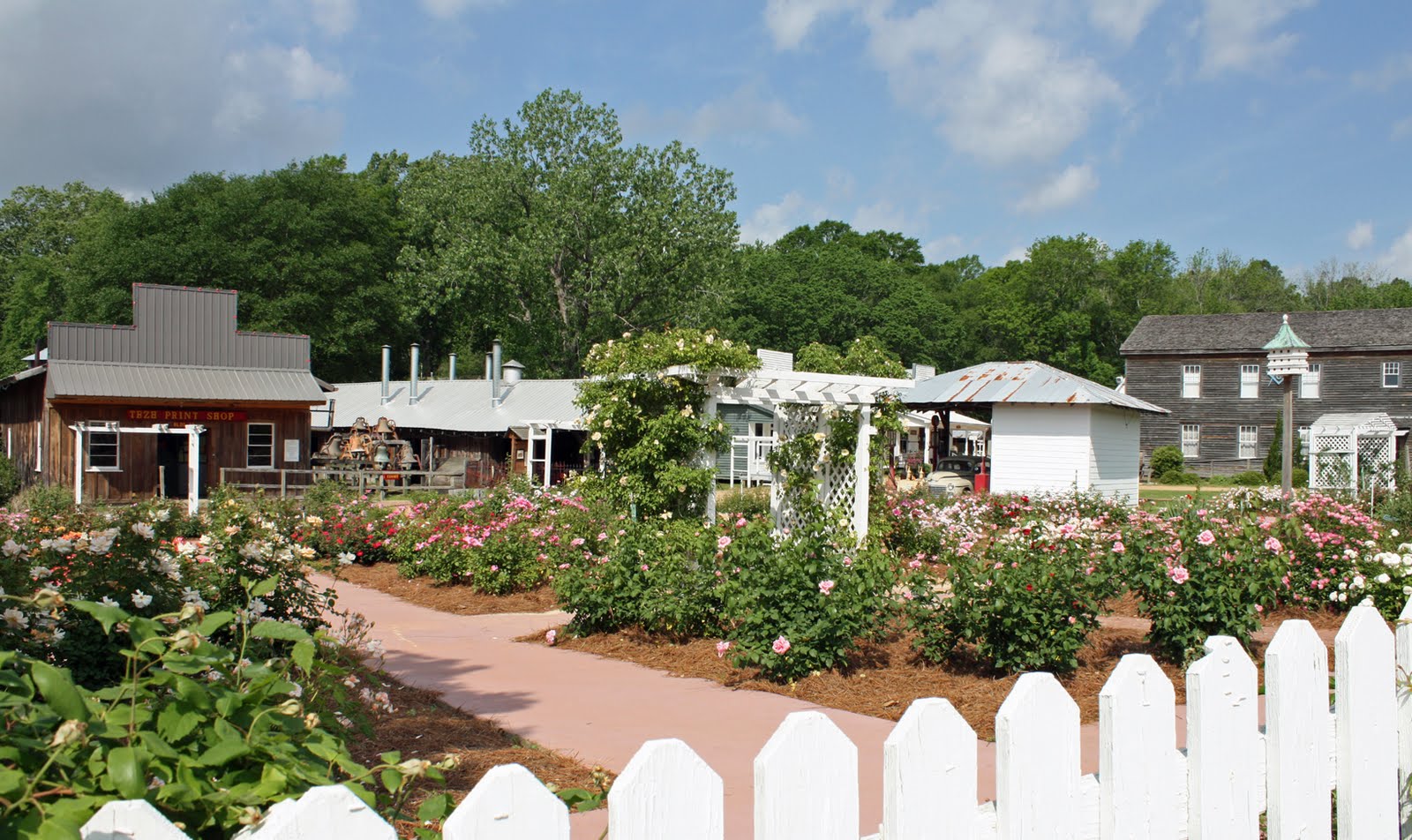 Southern Lagniappe An OldFashioned Rose Garden