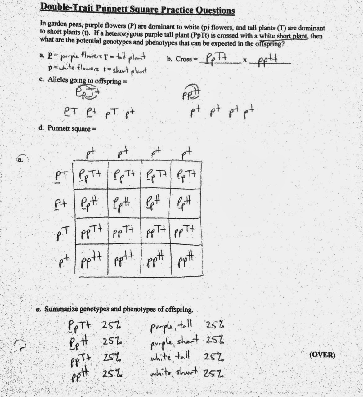 Uncategorized Blood Type Worksheet blood type punnett square worksheet karibunicollies practice fiercebad worksheet