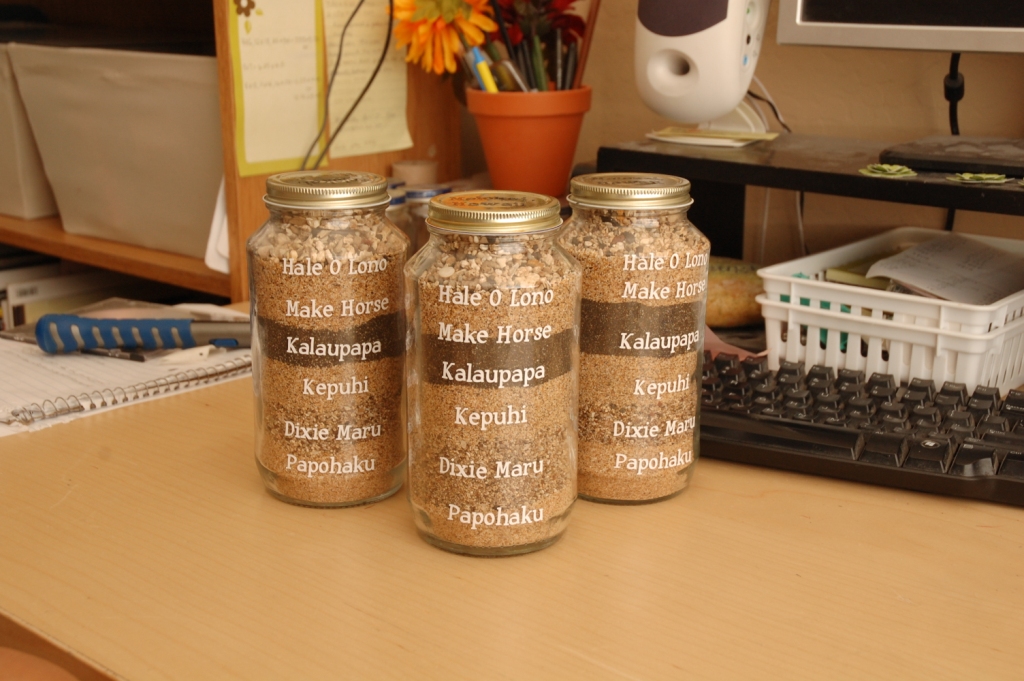 Knocking it off... Cool Ideas Sand Jars