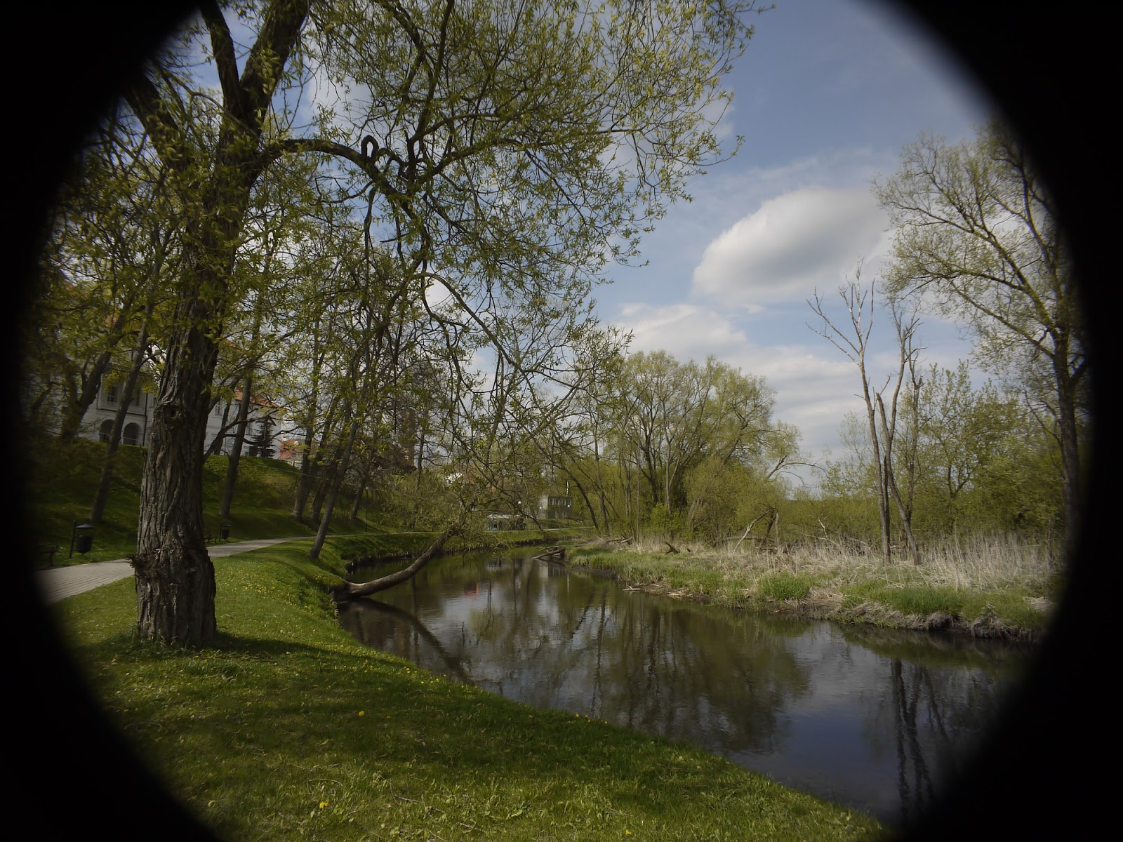 Tevidon 10/2 @11 - wide angle landscape (full sensor). Tevidon 10/2 @11 - wide angle landscape (full sensor).