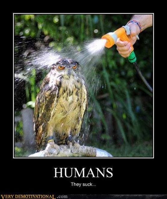funny-owl-posters-humans-they-suck1.jpg