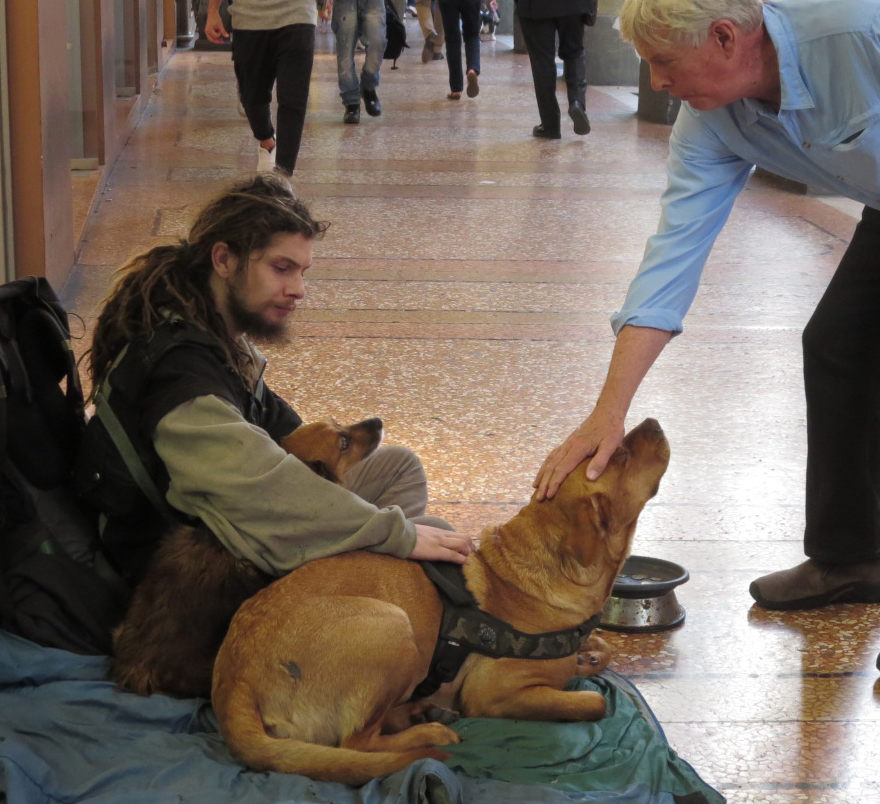 Dog Law Reporter Keeping the Homeless and Their Pets Together in Shelters and Housing A Call