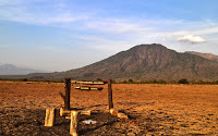Savana Bekol | Taman Nasional Baluran savana bekol, baluran jawa timur, wisata banyuwangi