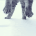 Jump!