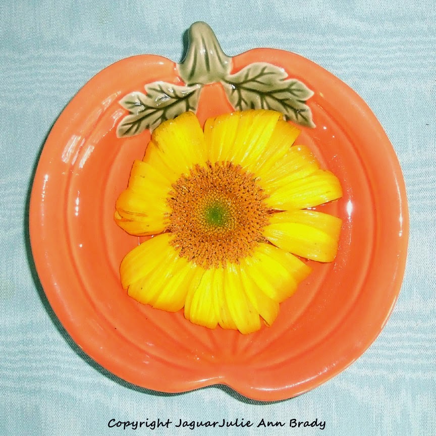 Sunflower in a Orange Pumpkin Dish Sunflower in a Orange Pumpkin Dish