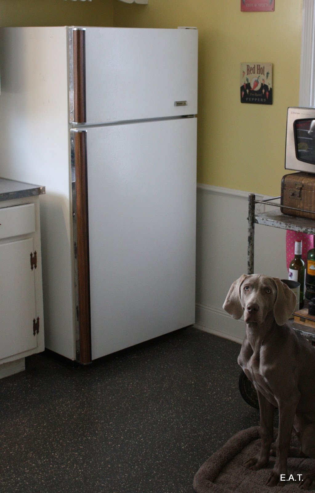 E.A.T. How to clean out a refrigerator.......