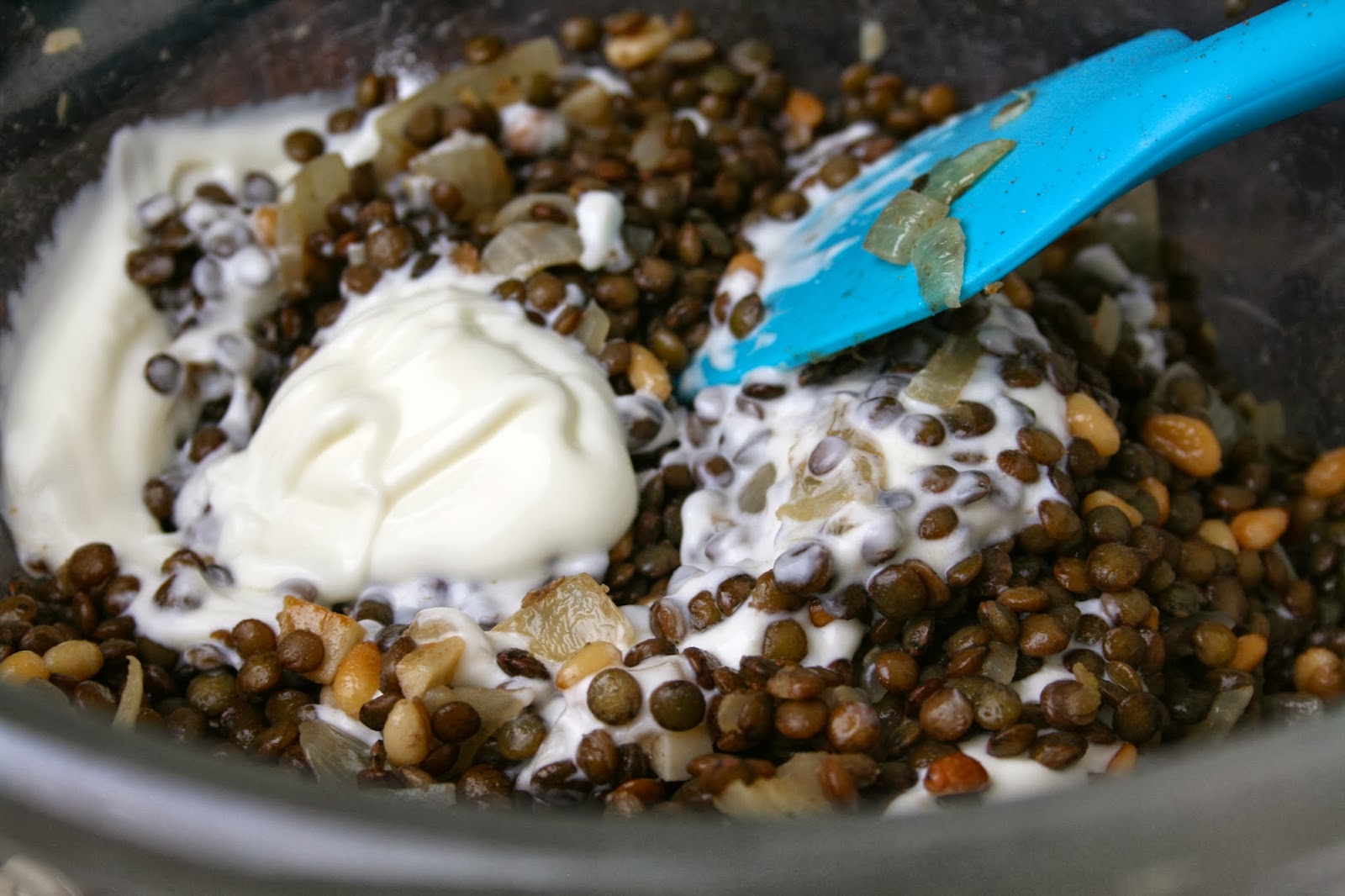 Spiced Lentils with Yoghurt and Spinach
