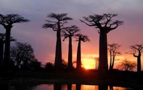 telecharger rencontres grave