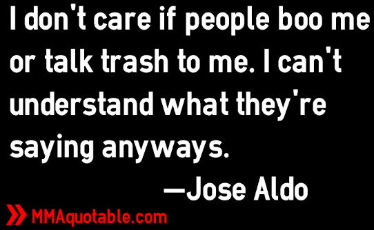 Motivational Quotes with Pictures (many MMA & UFC): I don't care if