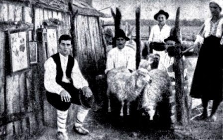 Petrache Lupu de la Maglavit Maglavit - 1935