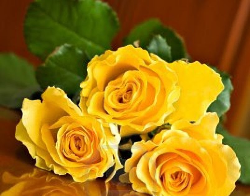 Simpleliving Three Yellow Roses ! A Story To Warm Your Heart