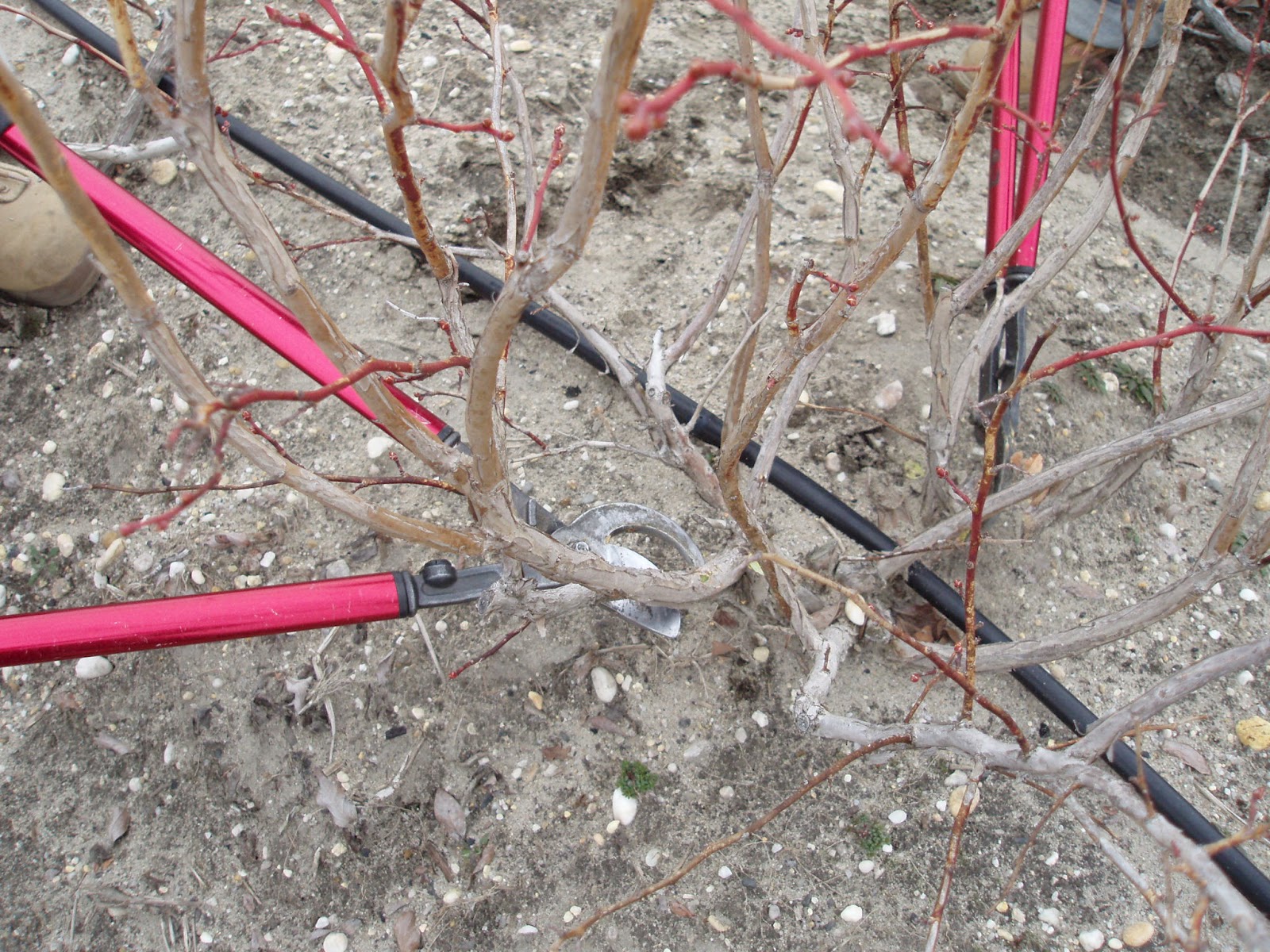 American Farming Tools