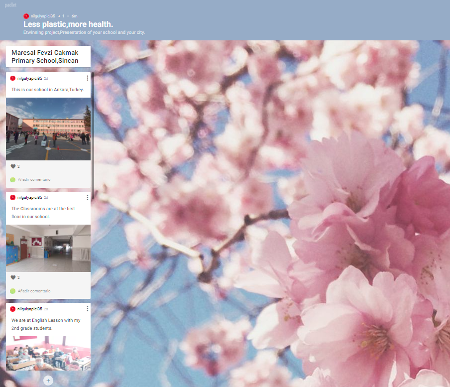 eTwinning project Padlet: 'Less plastic more health'