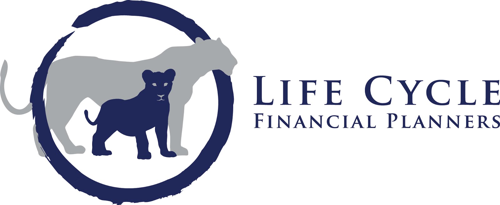 Life Cycle Financial Planning - Ted Bernstein