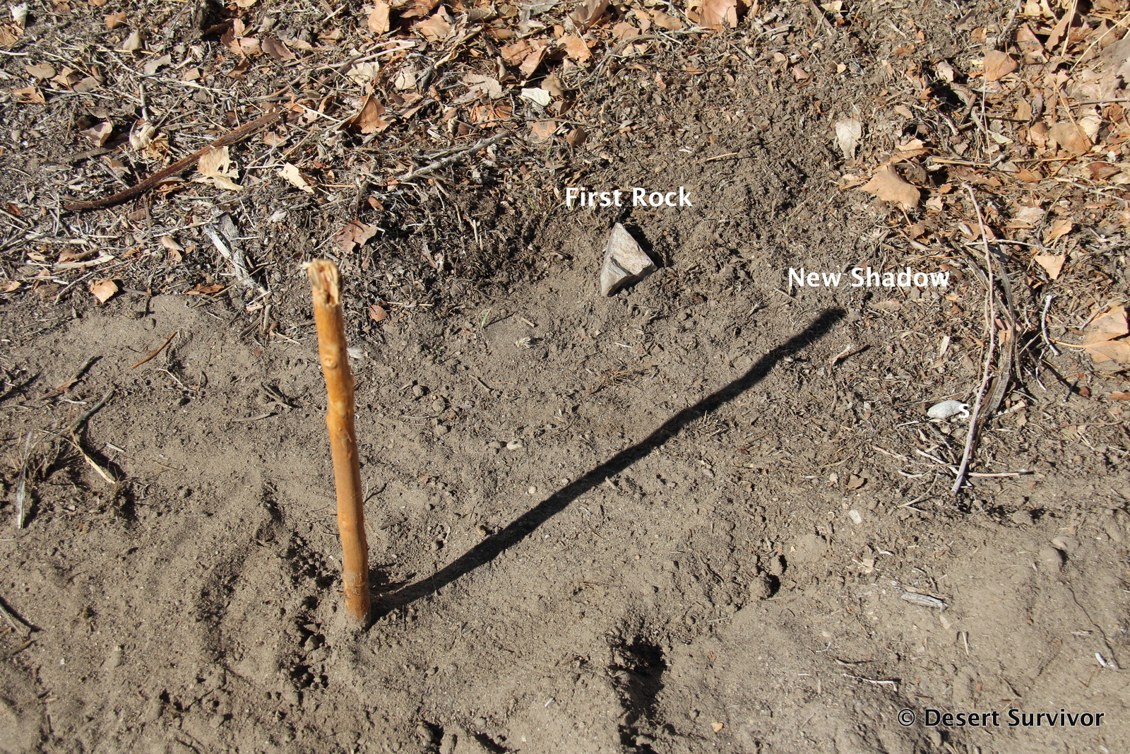 Desert Survivor Desert Survival How to Tell Direction with a Shadow Stick