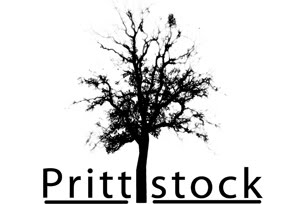 Prittlstock