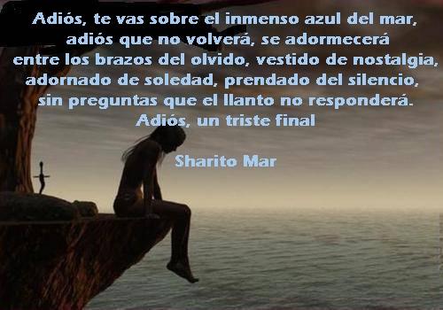 un adios al amor de mivida: un adios ami amor te amo carlos