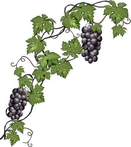 Resultado de imagen para esquineros OTOÃO png