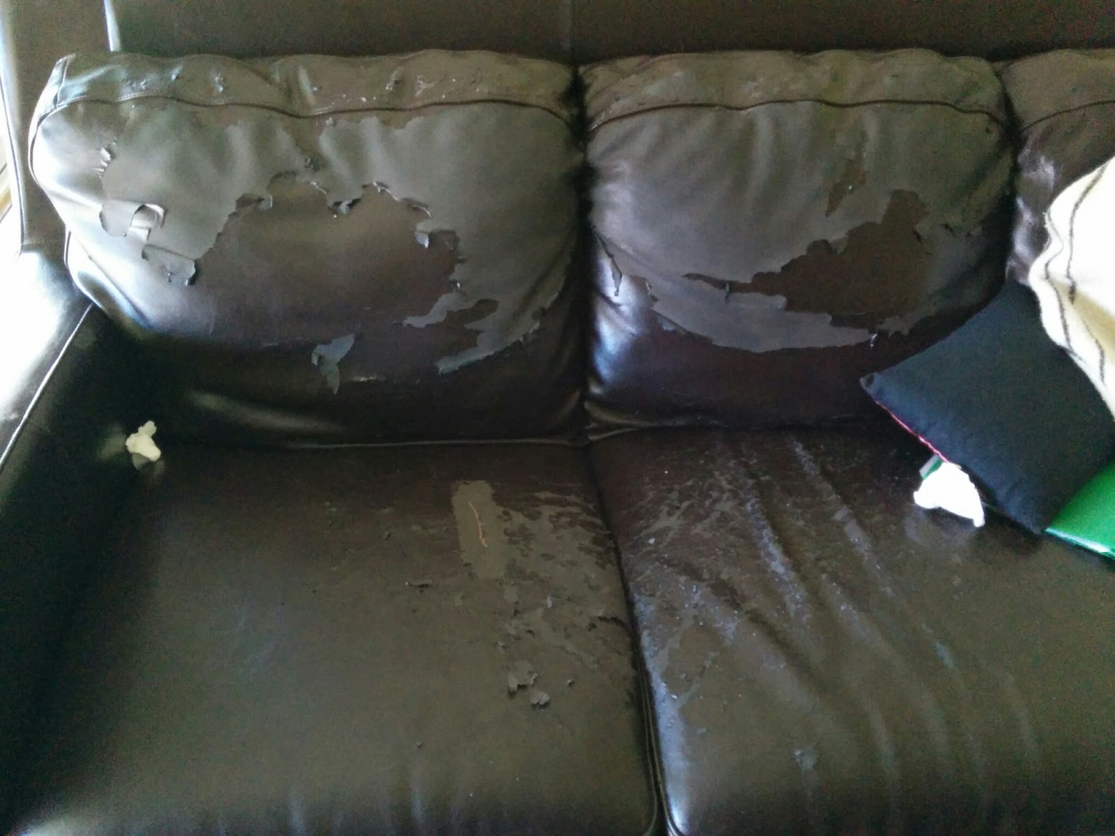 How to Buy a Sofa without Toxic Flame Retardants Econovice