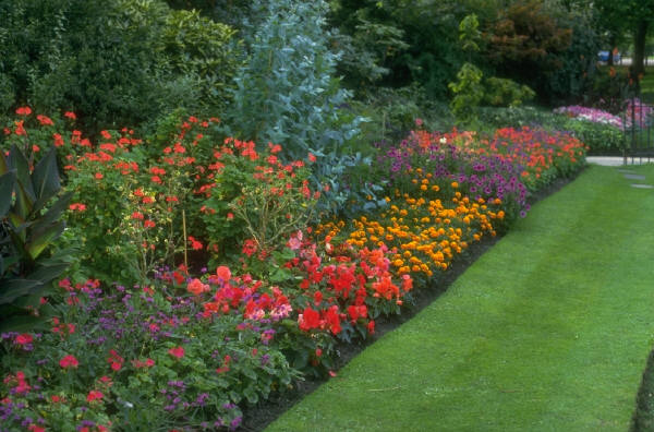landscaping ideas backyard