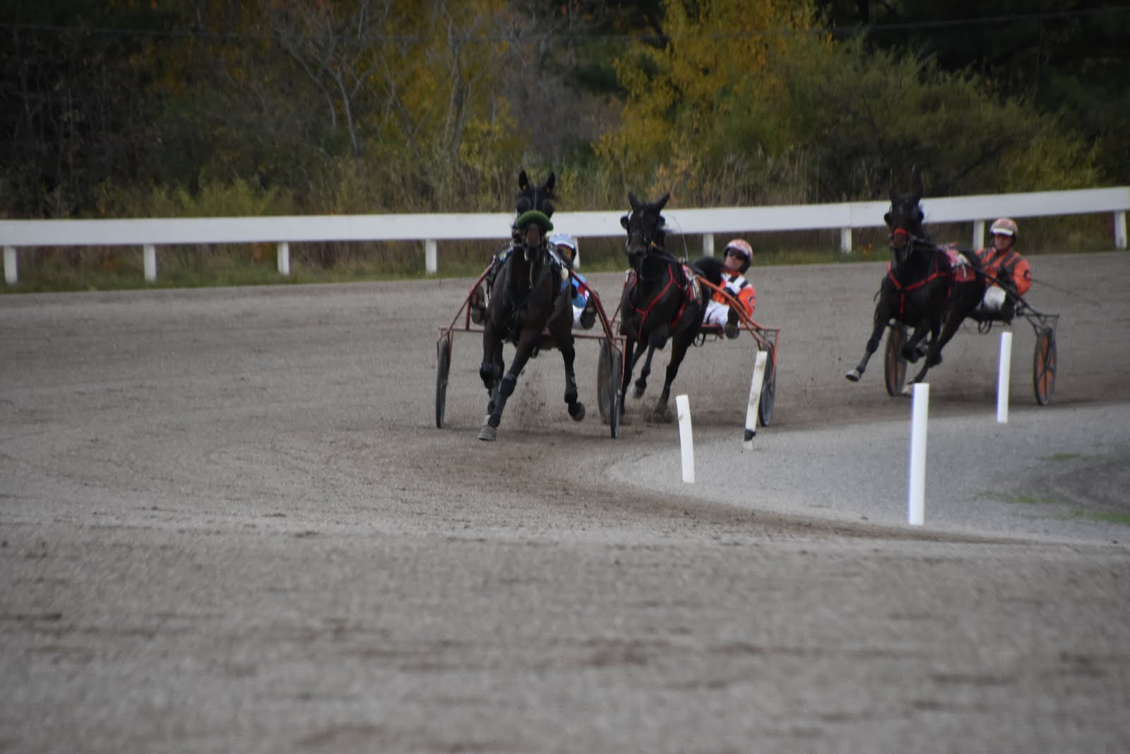 The Maine Harness Racing Commission