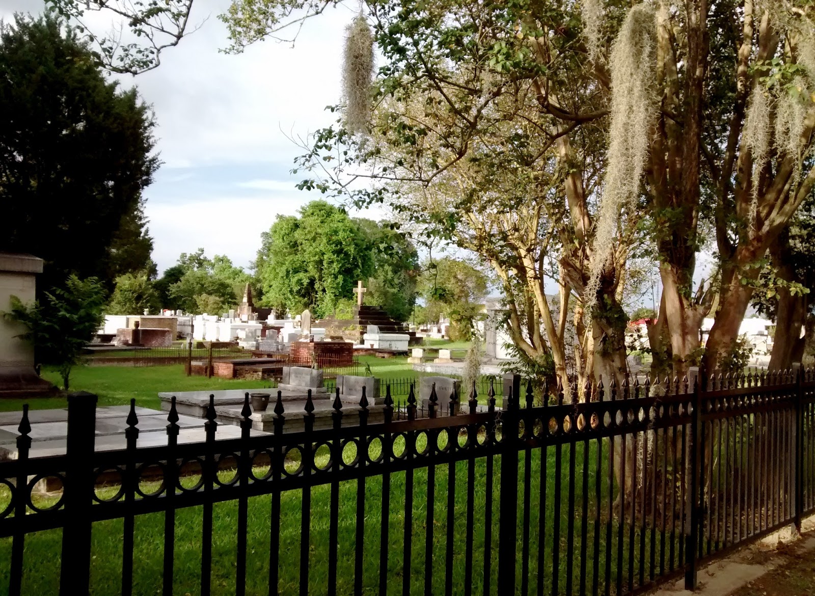 Living Rootless Opelousas Stories in a Cemetery