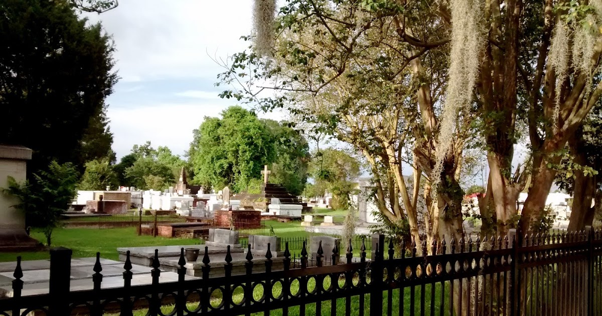 Living Rootless Opelousas Stories in a Cemetery