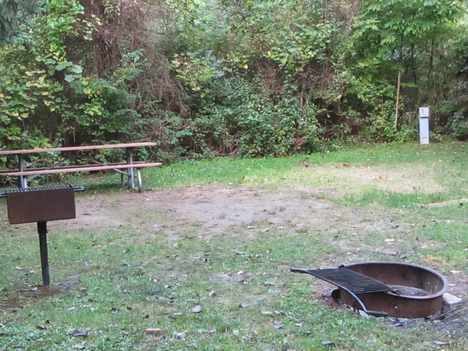 Cappy & Pegody's World Base Camp New York