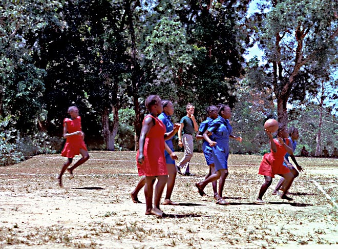 Netball Court Template