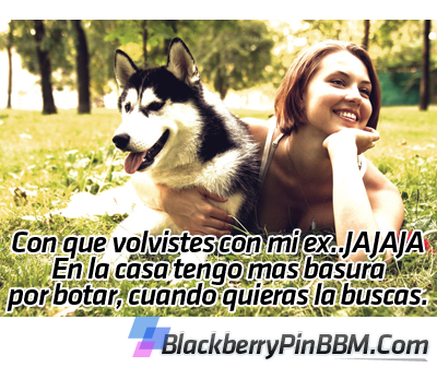 imagenes para pin imagenes para pin