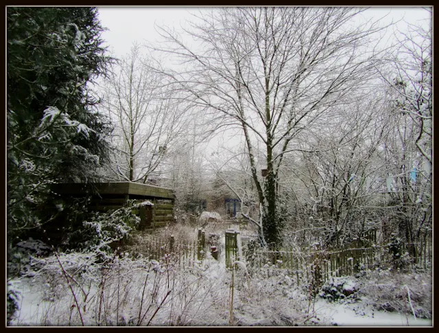 tuin nabij zwemvijver