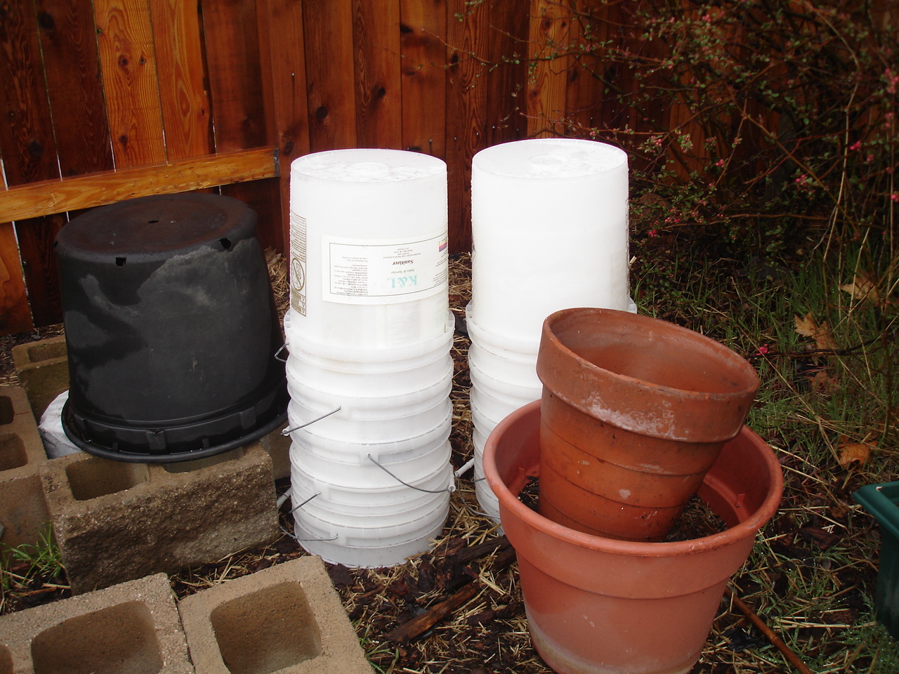 Lisa's Garden Adventure Recycle. Reuse. Scavenge. And Craigslist!