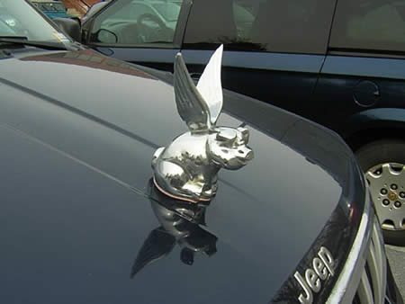 Image result for funny hood ornament