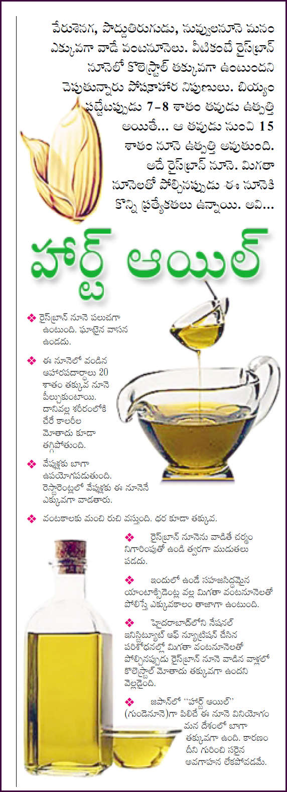 THE USES OF RICE BRAN OIL A BRIEF ARTICLE OF JAPANESE