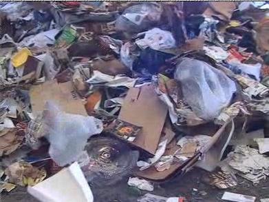 AVOID PLASTIC: Environmental Impact of Plastic Bags AVOID PLASTIC: Environmental Impact of Plastic Bags
