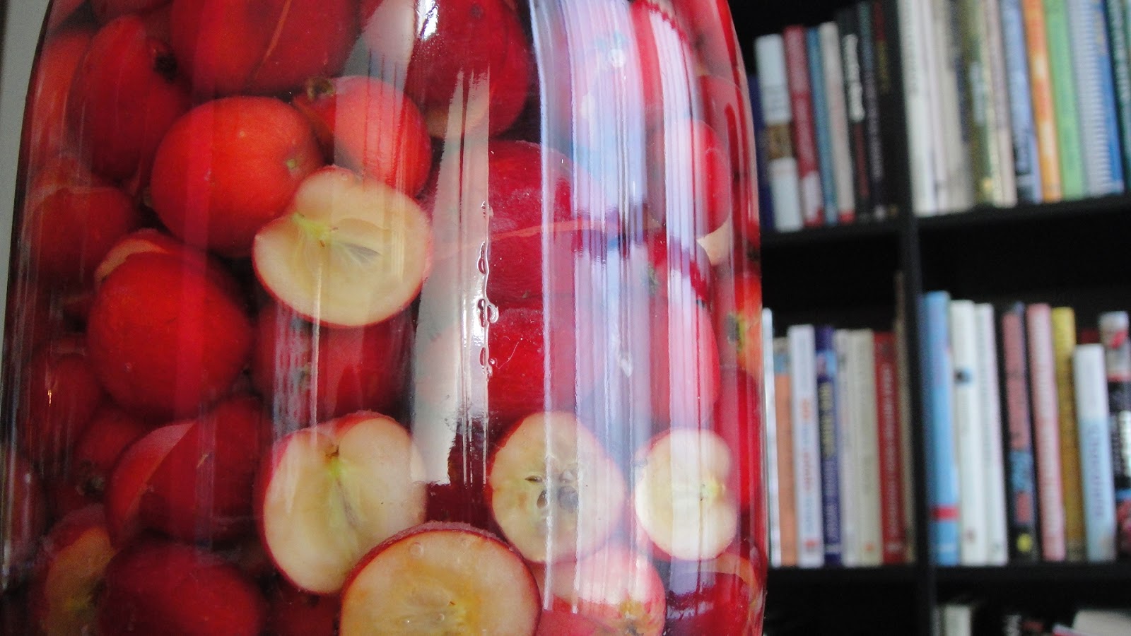 CRAB APPLE SCHNAPPS Life Without Lemons