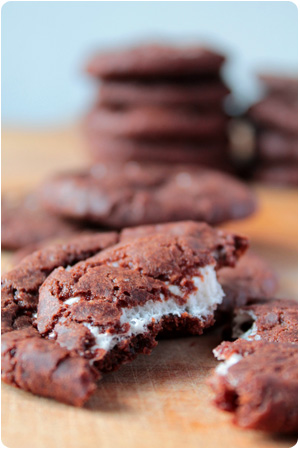 The Most Bestest Soft Baked Chocolate Cookies EVER!