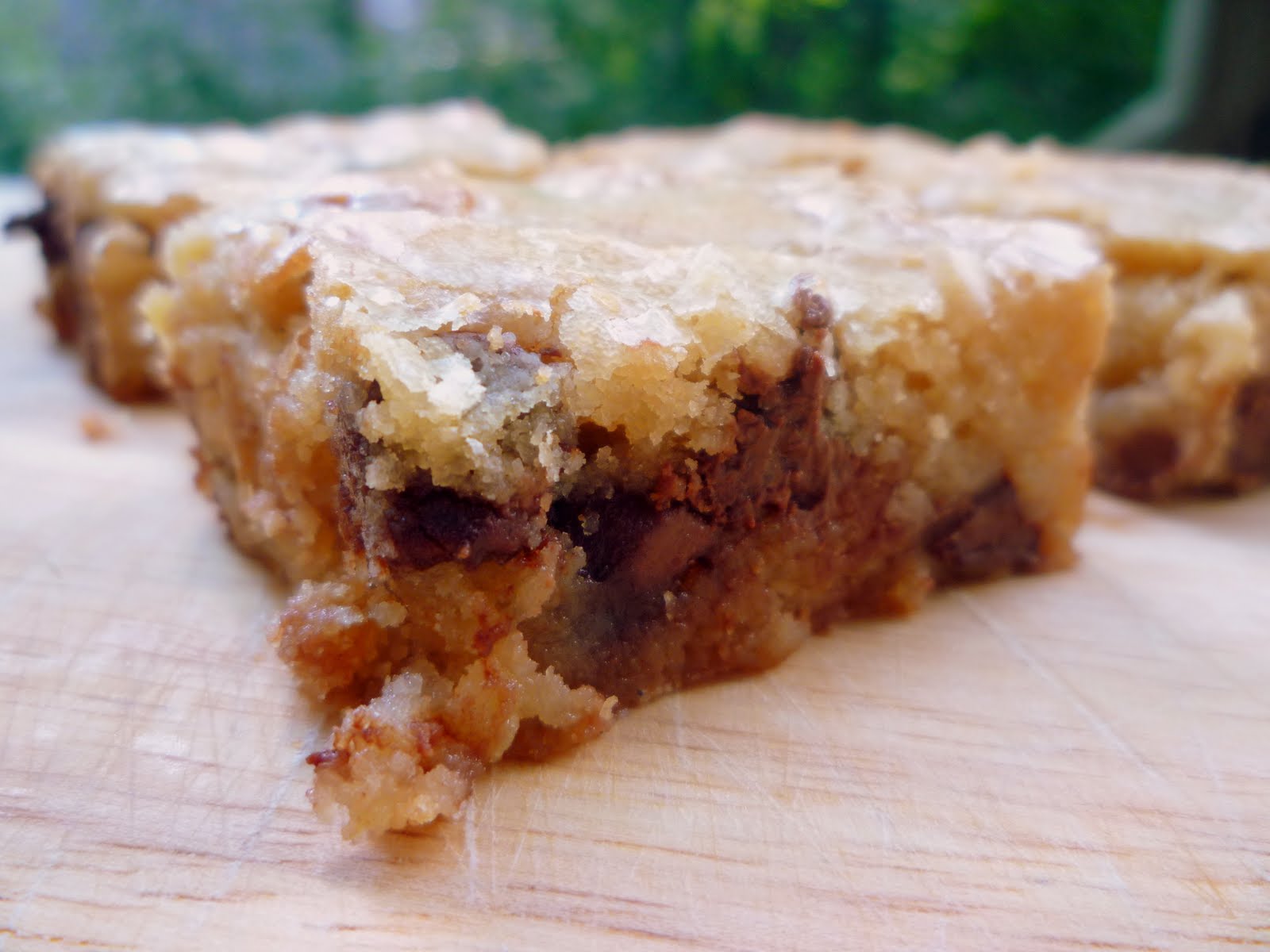 What's Baking in the Chocolate Chip Graham Cracker Blondies