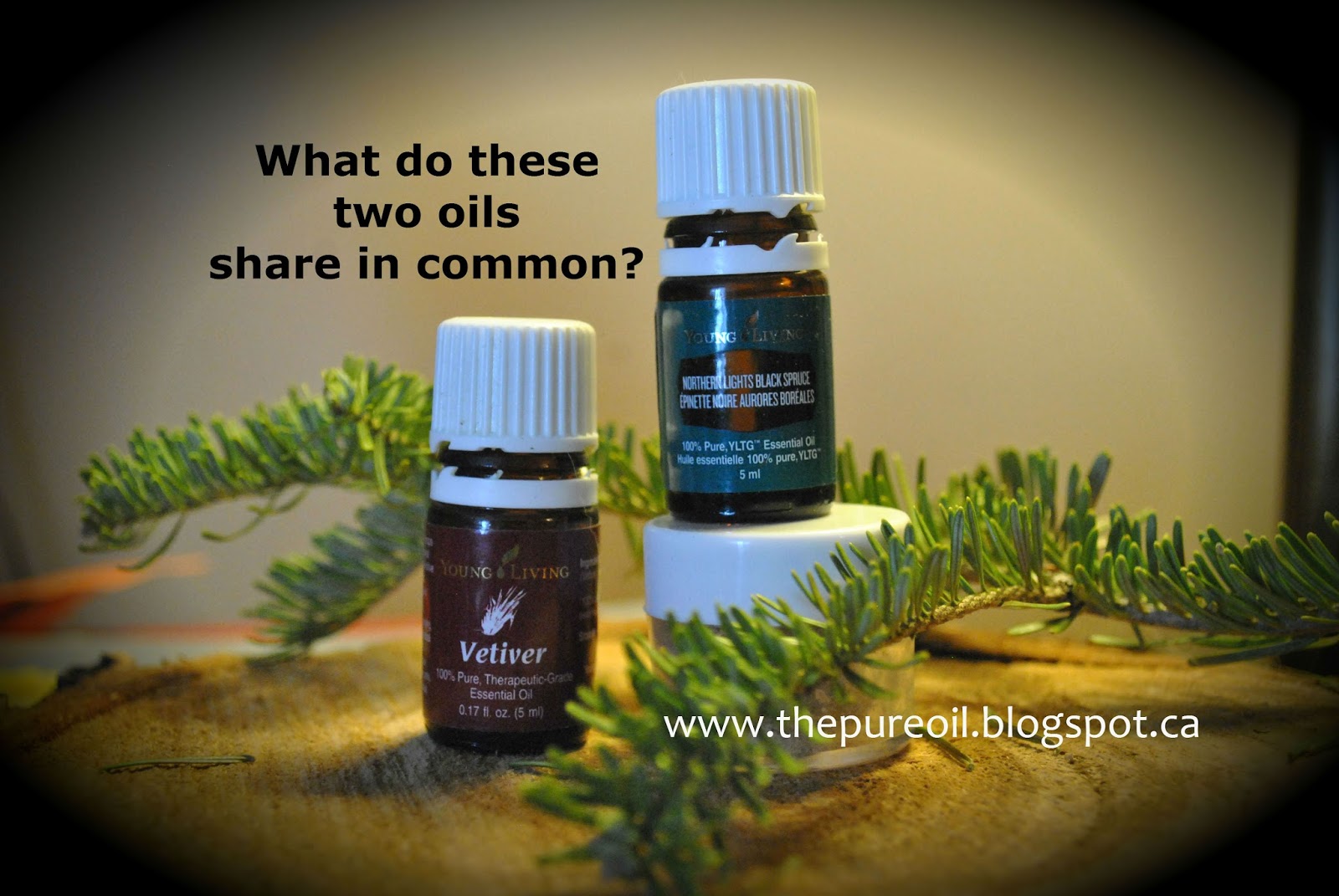 ThePureOil Young Living Idaho Blue Spruce and Northern Lights Black