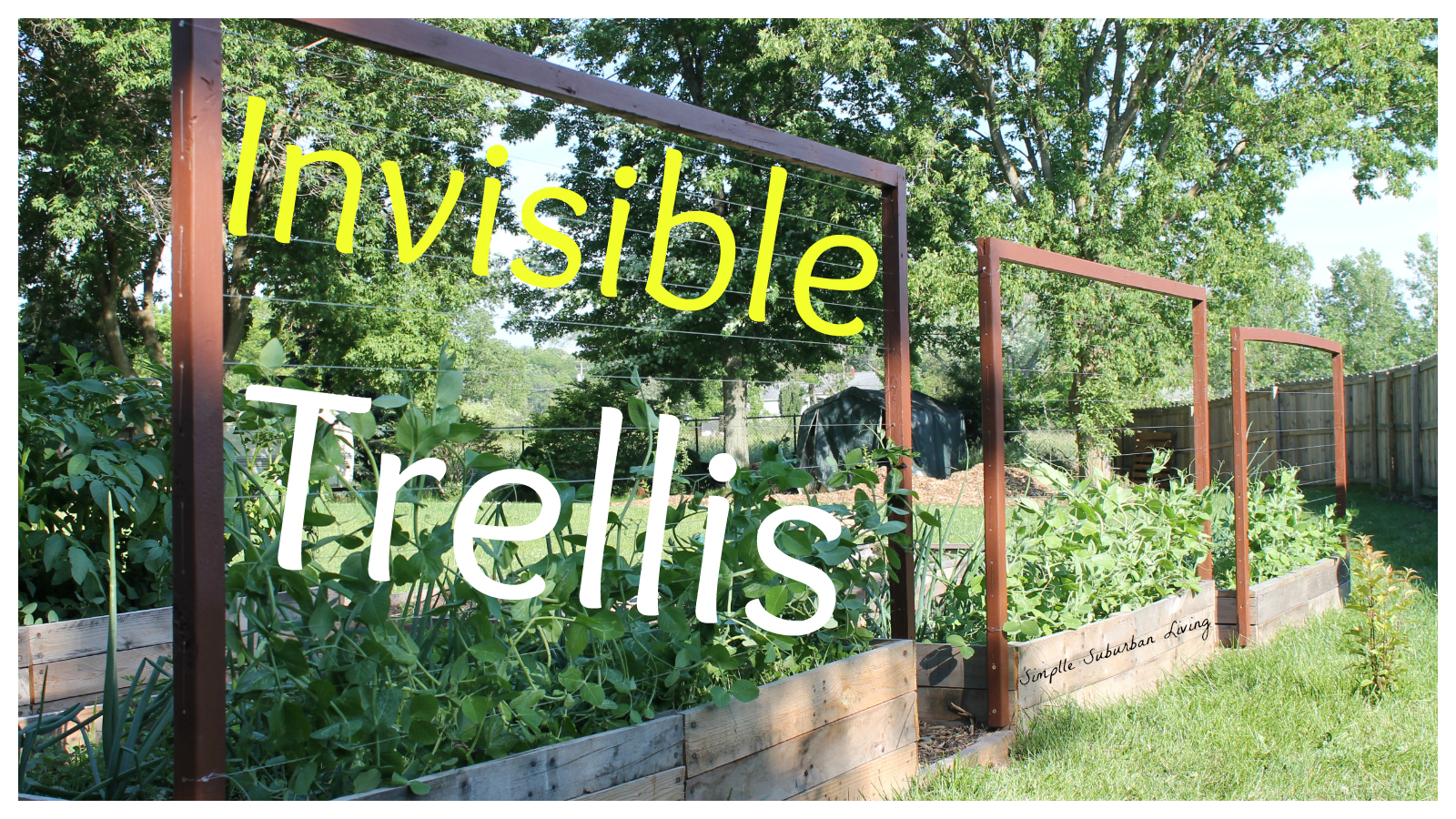 The Invisible Trellis An Inexpensive Raised Bed Trellis System The Invisible Trellis An Inexpensive Raised Bed Trellis System