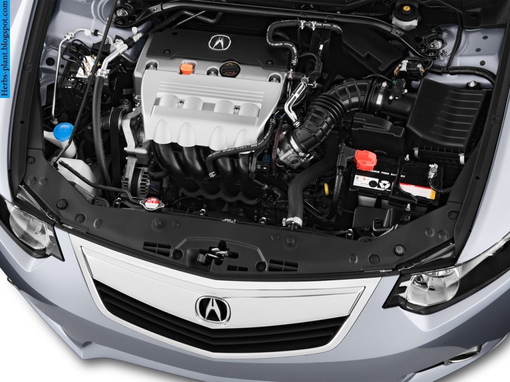 Acura tsx car 2013 engine - صور محرك سيارة اكورا تي اس اكس 2013 Acura tsx car 2013 engine - صور محرك سيارة اكورا تي اس اكس 2013