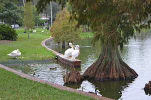 Take a walk around Lake Morton, Lakeland