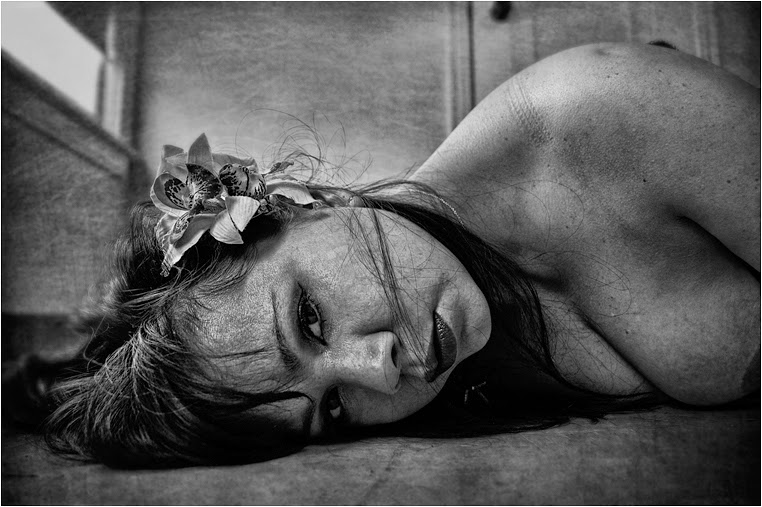 emerging photographers, Best Photo of the Day in Emphoka by Elusive recluse, https://flic.kr/p/qBniPV emerging photographers, Best Photo of the Day in Emphoka by Elusive recluse, https://flic.kr/p/qBniPV